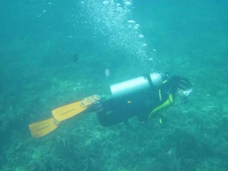 消防员献血心情紧张，被护士姐姐一通夸后，竟说出“豪言壮志”